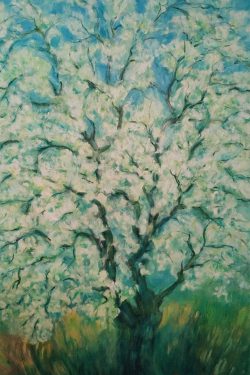 Title: Flowering pear tree
Year: 2007
Original Size: w65 cm x h100 cm
Technique: Oil Painting